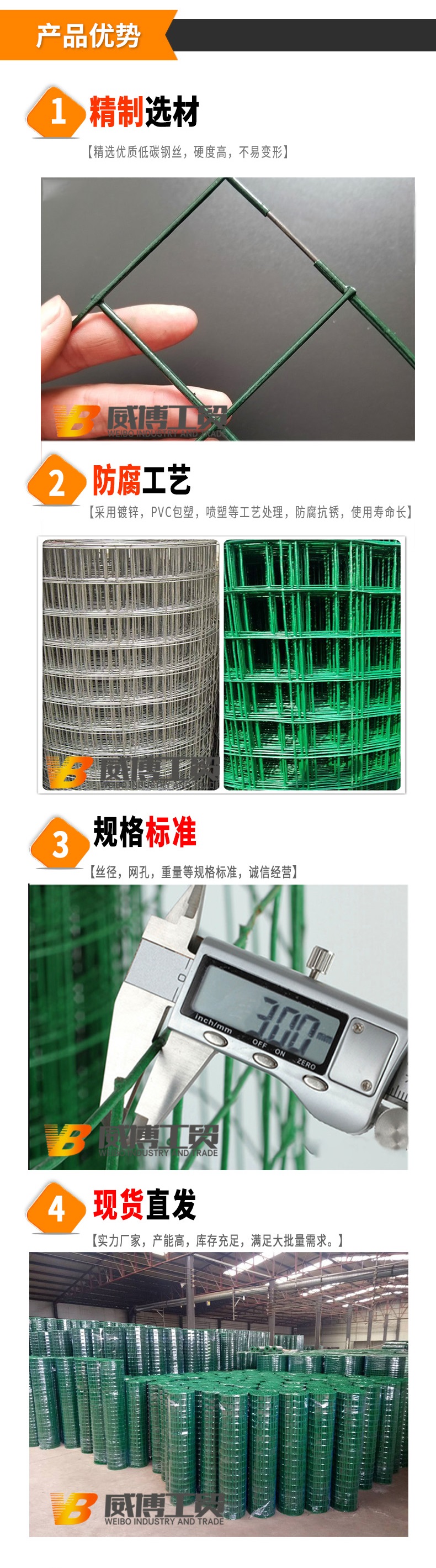 荷蘭網
