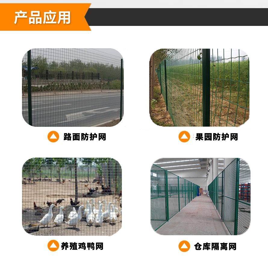 荷蘭網應用